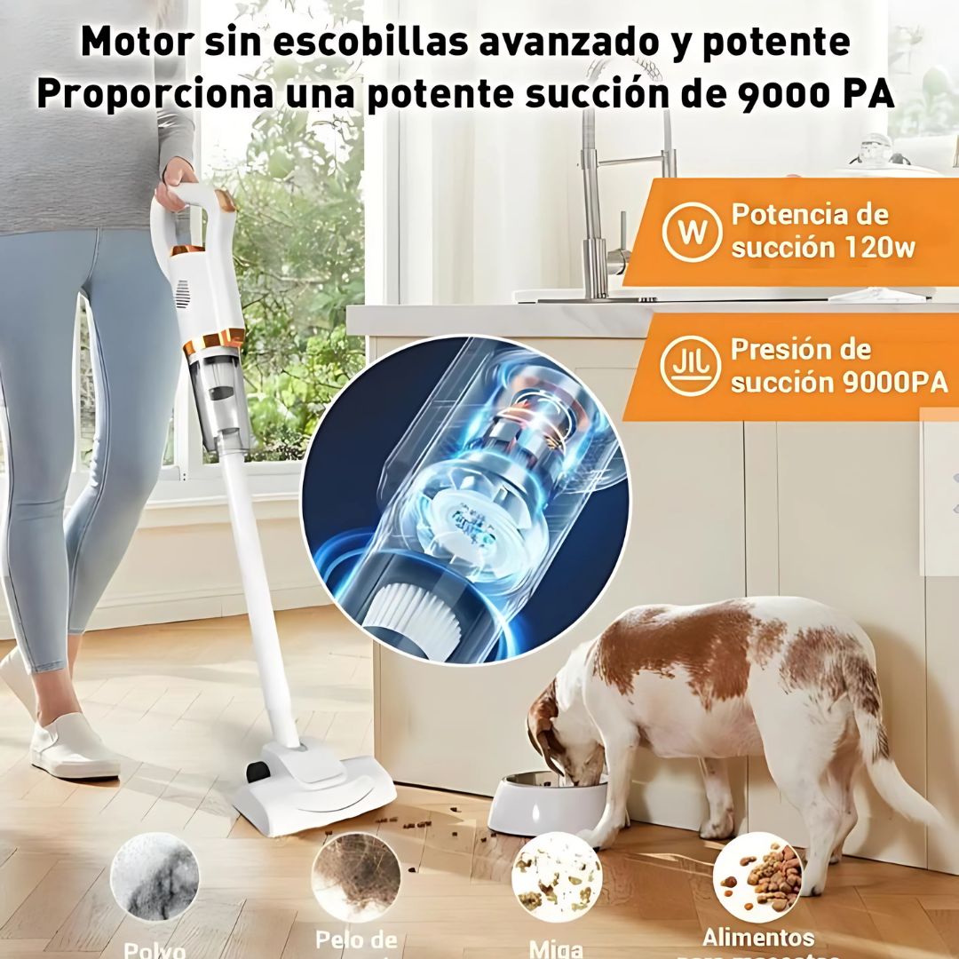 ASPIRADORA DE LUJO